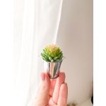 Mini kövirózsa és pozsgások, fém vödörben egyedi kártyával (kerámia cserepben)