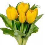 TULIPÁN CSOKOR, GUMI - 100% ÉLETHŰ 7 SZÁL, 28CM