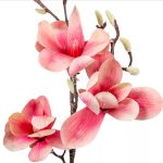 ÓRIÁS MAGNÓLIA ÁG M100CM, 7 VIRÁG/ÁG