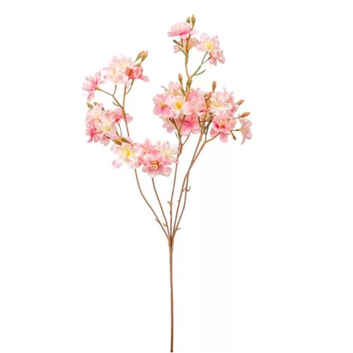 CSERESZNYEVIRÁG ÁG M66CM