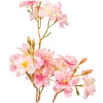 CSERESZNYEVIRÁG ÁG M66CM