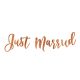 JUST MARRIED, ROSE GOLD, 20X77 CM, BANNER
