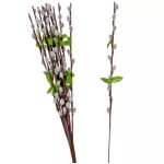 BARKA ÁG M54CM 12DB/KÖTEG